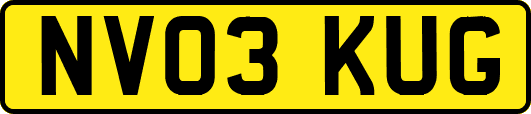 NV03KUG