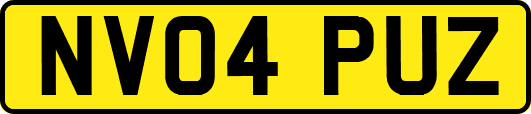 NV04PUZ