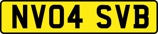 NV04SVB