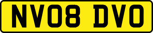 NV08DVO