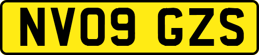 NV09GZS