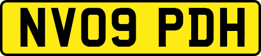 NV09PDH