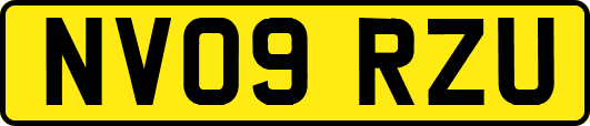 NV09RZU