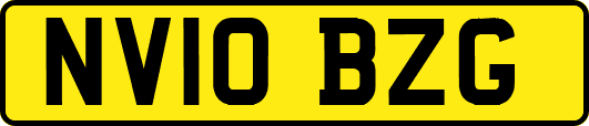 NV10BZG