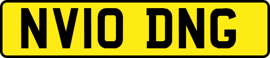 NV10DNG