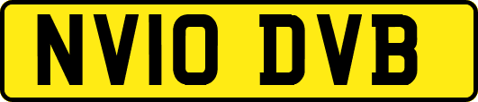 NV10DVB
