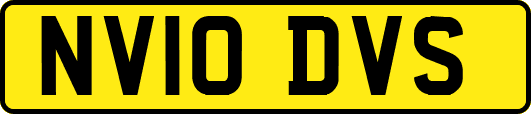 NV10DVS