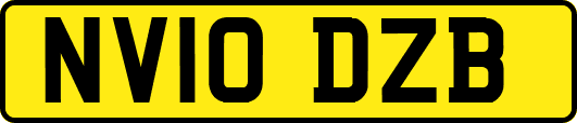 NV10DZB