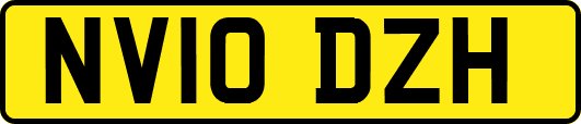 NV10DZH