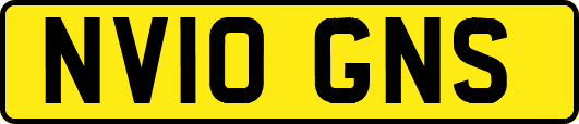 NV10GNS