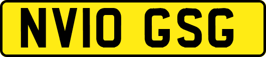 NV10GSG
