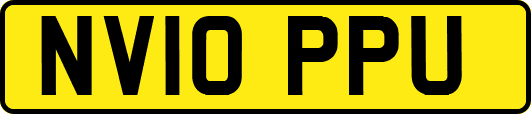 NV10PPU