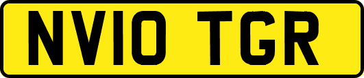 NV10TGR