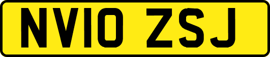 NV10ZSJ