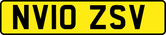 NV10ZSV