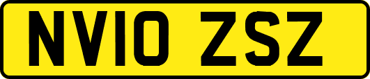 NV10ZSZ