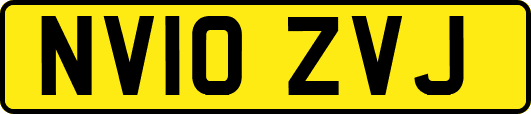NV10ZVJ