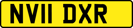 NV11DXR