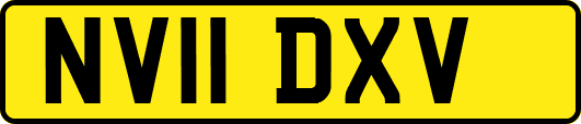 NV11DXV