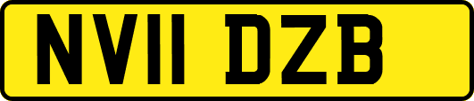 NV11DZB