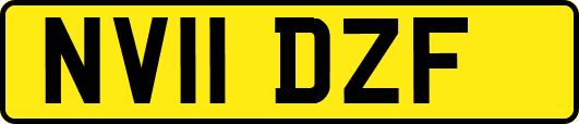 NV11DZF