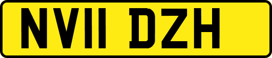 NV11DZH