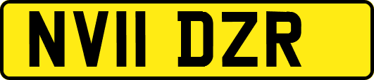 NV11DZR