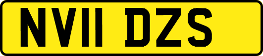 NV11DZS