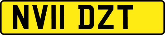NV11DZT