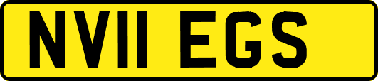 NV11EGS