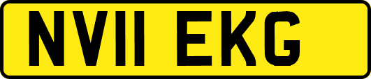NV11EKG