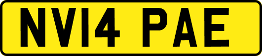 NV14PAE