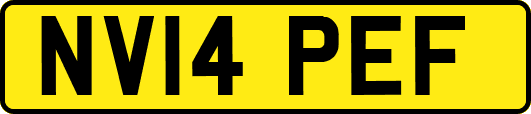 NV14PEF