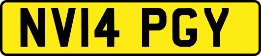 NV14PGY