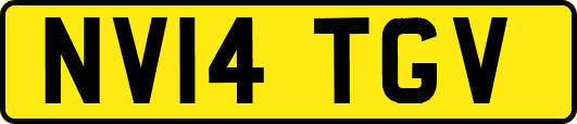 NV14TGV