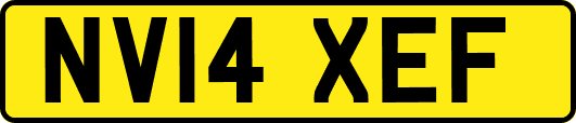 NV14XEF