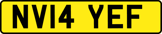 NV14YEF