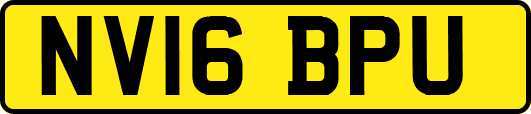 NV16BPU