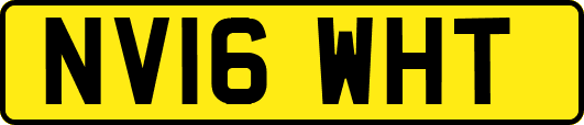 NV16WHT