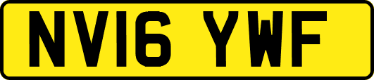 NV16YWF