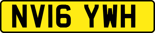 NV16YWH
