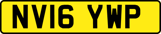 NV16YWP