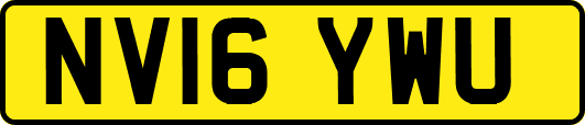 NV16YWU
