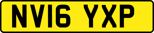 NV16YXP