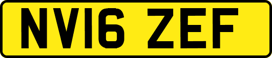 NV16ZEF