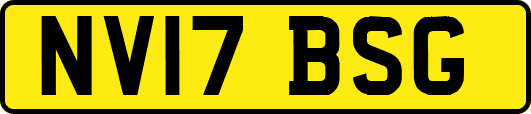 NV17BSG