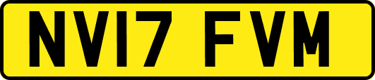 NV17FVM
