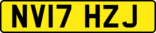 NV17HZJ