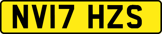 NV17HZS
