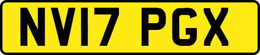 NV17PGX
